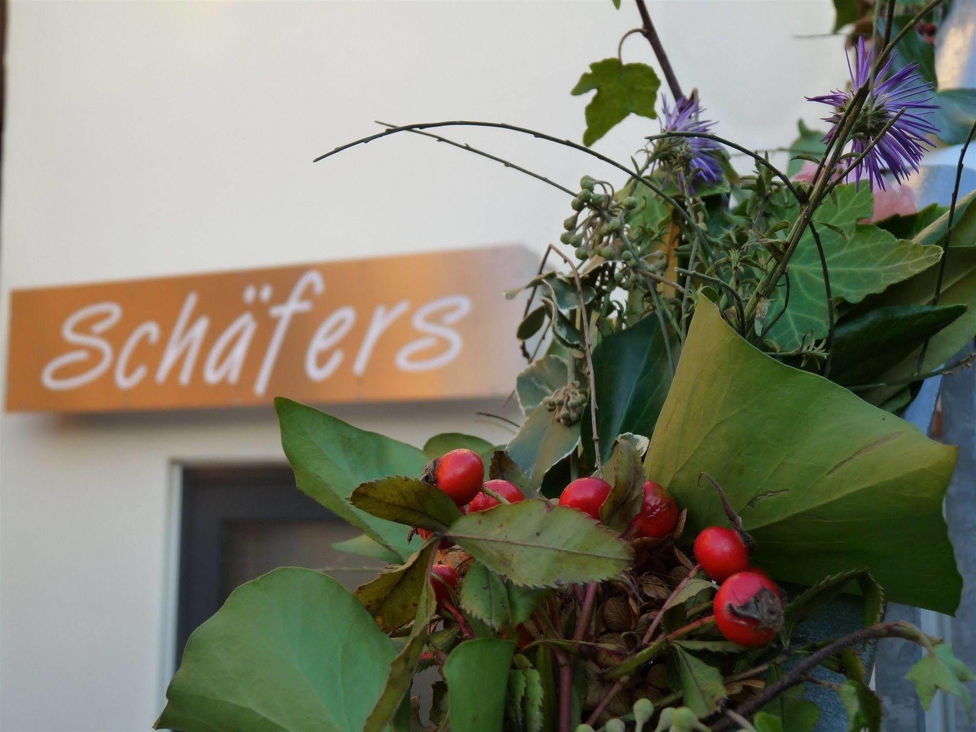 Schafers Hotel, Self Check In, Cafe Am Hotel Vechta Exterior photo